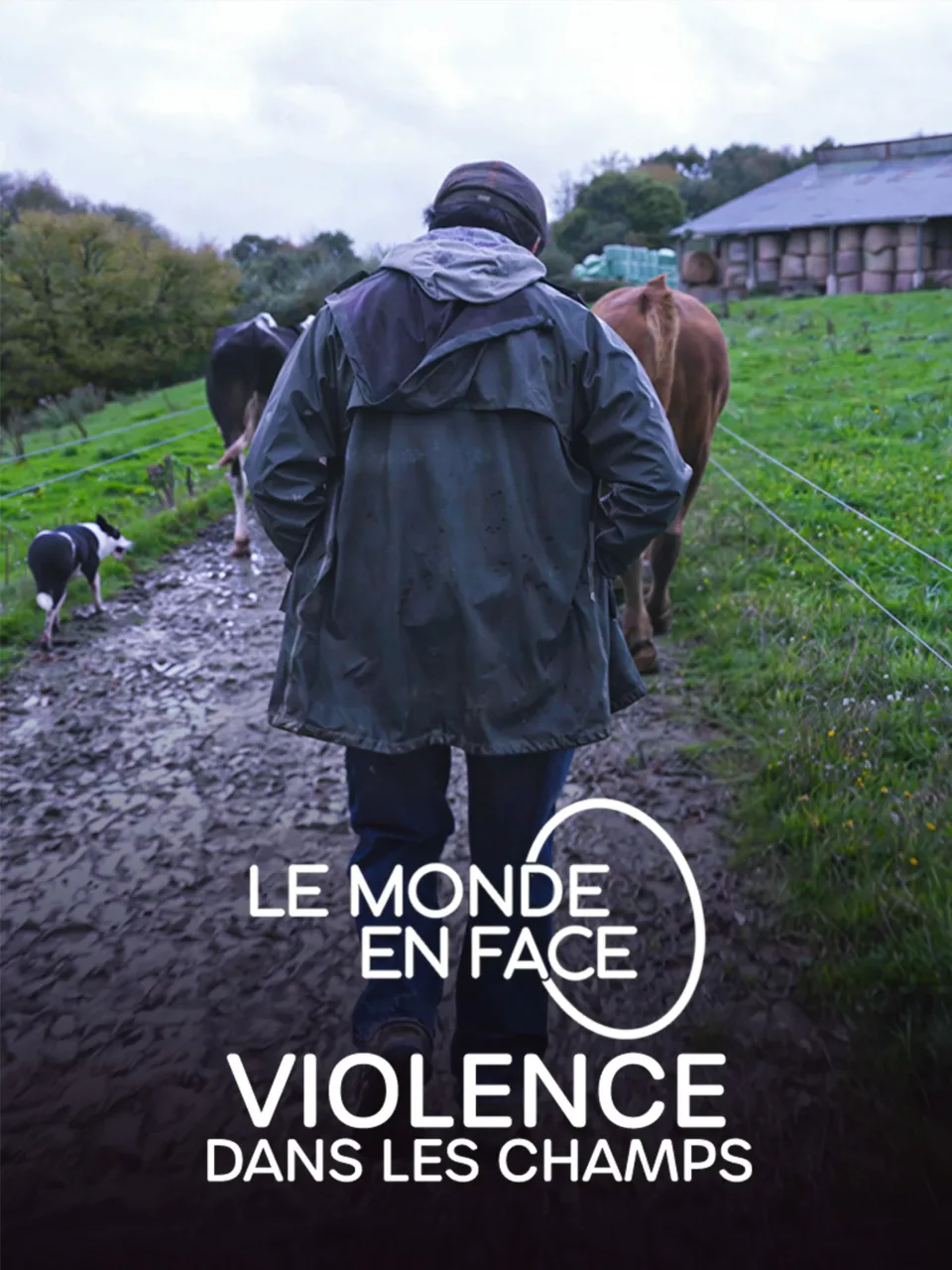Violence dans les champs